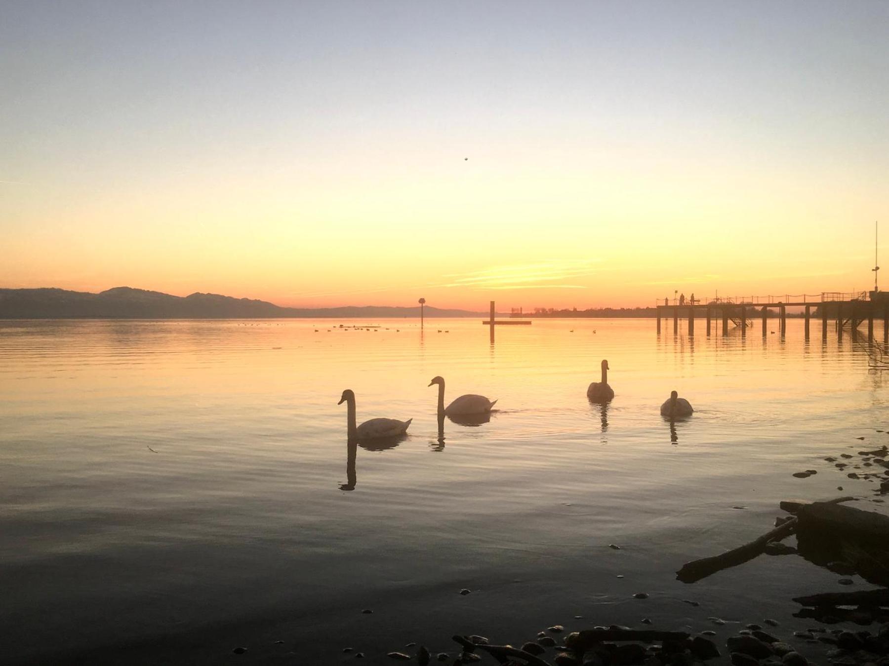 Ferienwohnung Riva - Wohlfuehloase In Ruhiger Lage Lindau  Dış mekan fotoğraf